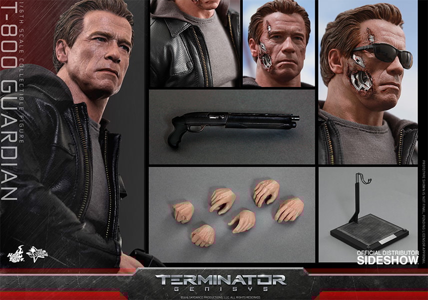T-800 Guardian (Prototype Shown) View 18