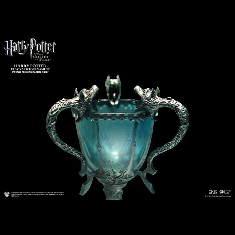 Harry Potter (Triwizard Tournament Version)