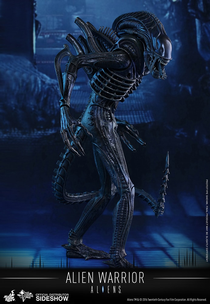 Aliens Alien Warrior Sixth Scale Figure by Hot Toys