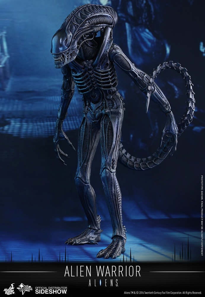 憧れ Sixth Warrior Alien Aliens Scale Toys Hot by Figure SF・ファンタジー・ホラー