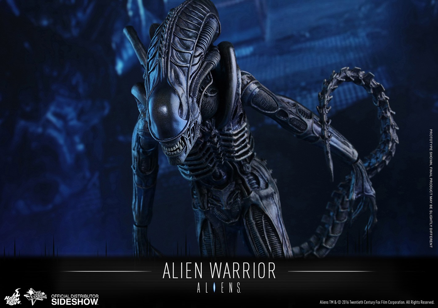 Aliens Alien Warrior Sixth Scale Figure  (Prototype Shown) View 8