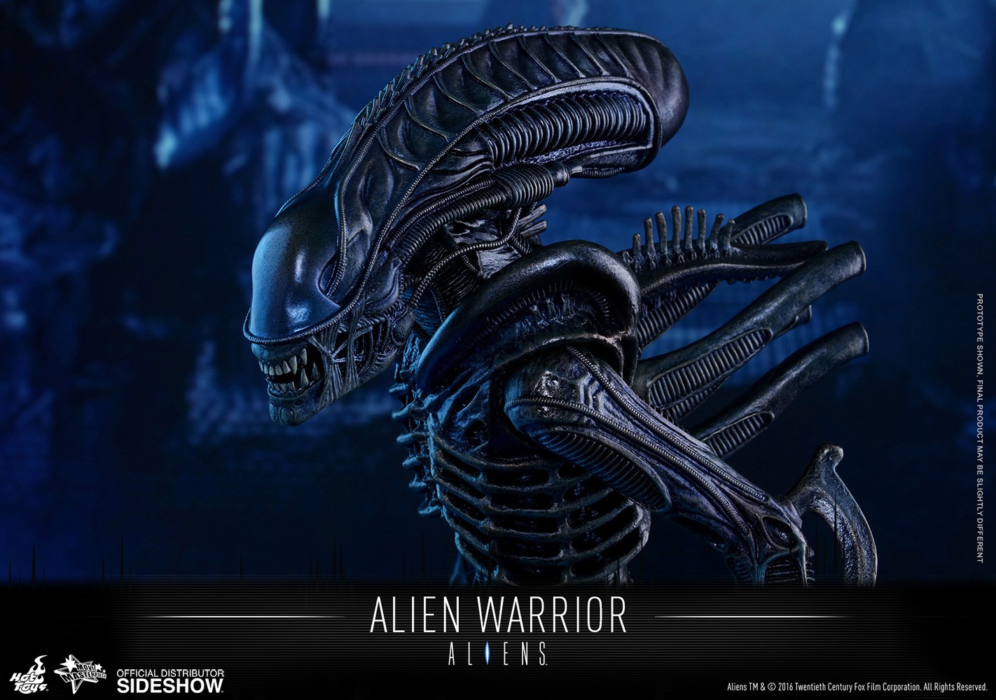 Aliens Alien Warrior Sixth Scale Figure  (Prototype Shown) View 13