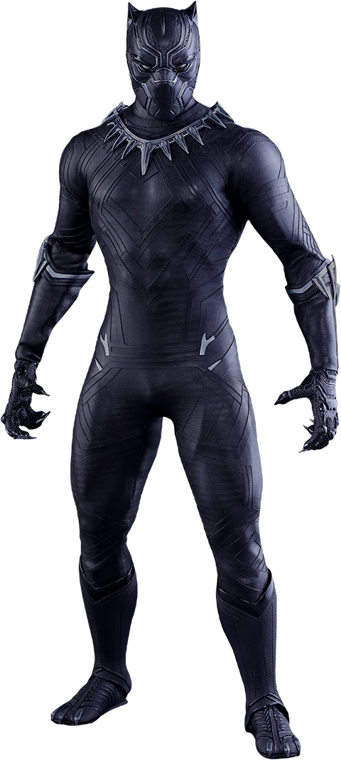 Black Panther (Prototype Shown) View 17