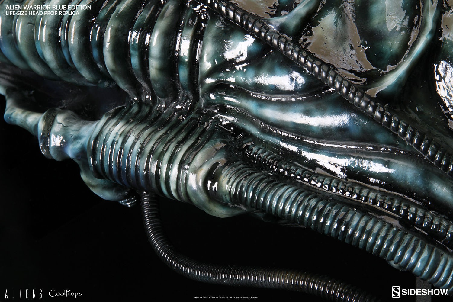 Aliens Alien Warrior Life-Size Head Prop Replica by CoolProp