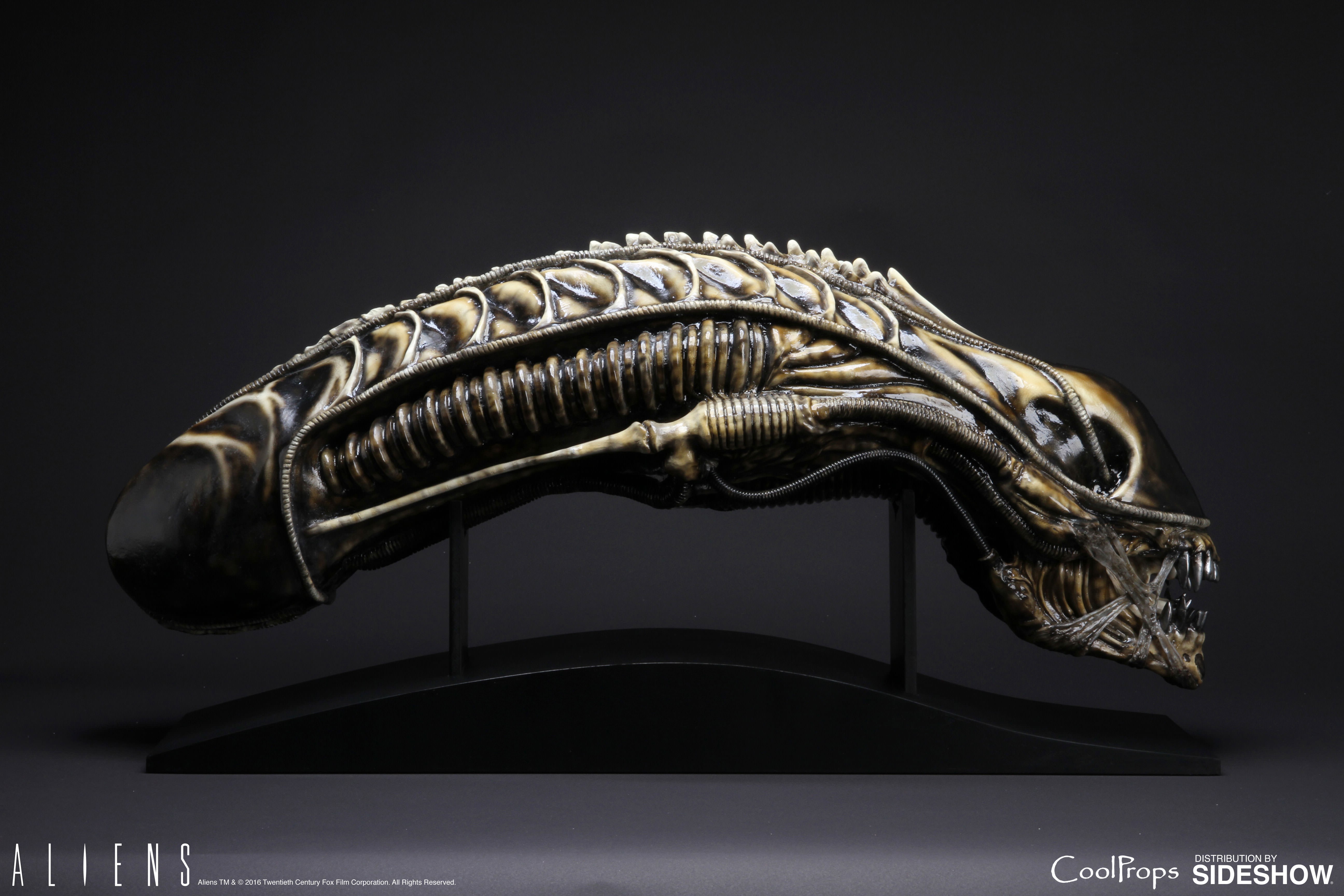 Aliens Alien Warrior Life-Size Head Prop Replica by CoolProp