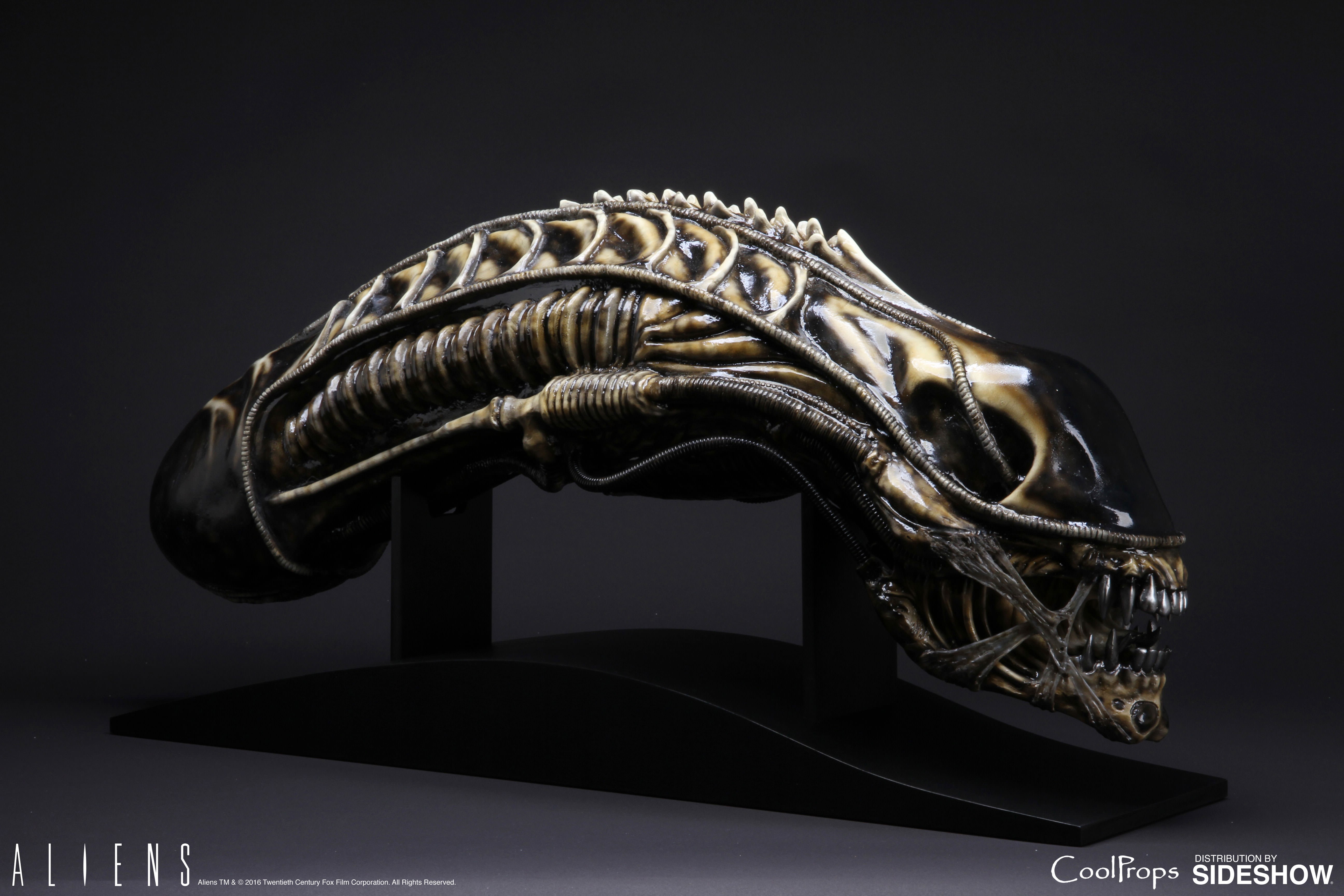 幸せなふたりに贈る結婚祝い Head Life-Size Warrior Alien Aliens Prop CoolProp by Replica エイリアン