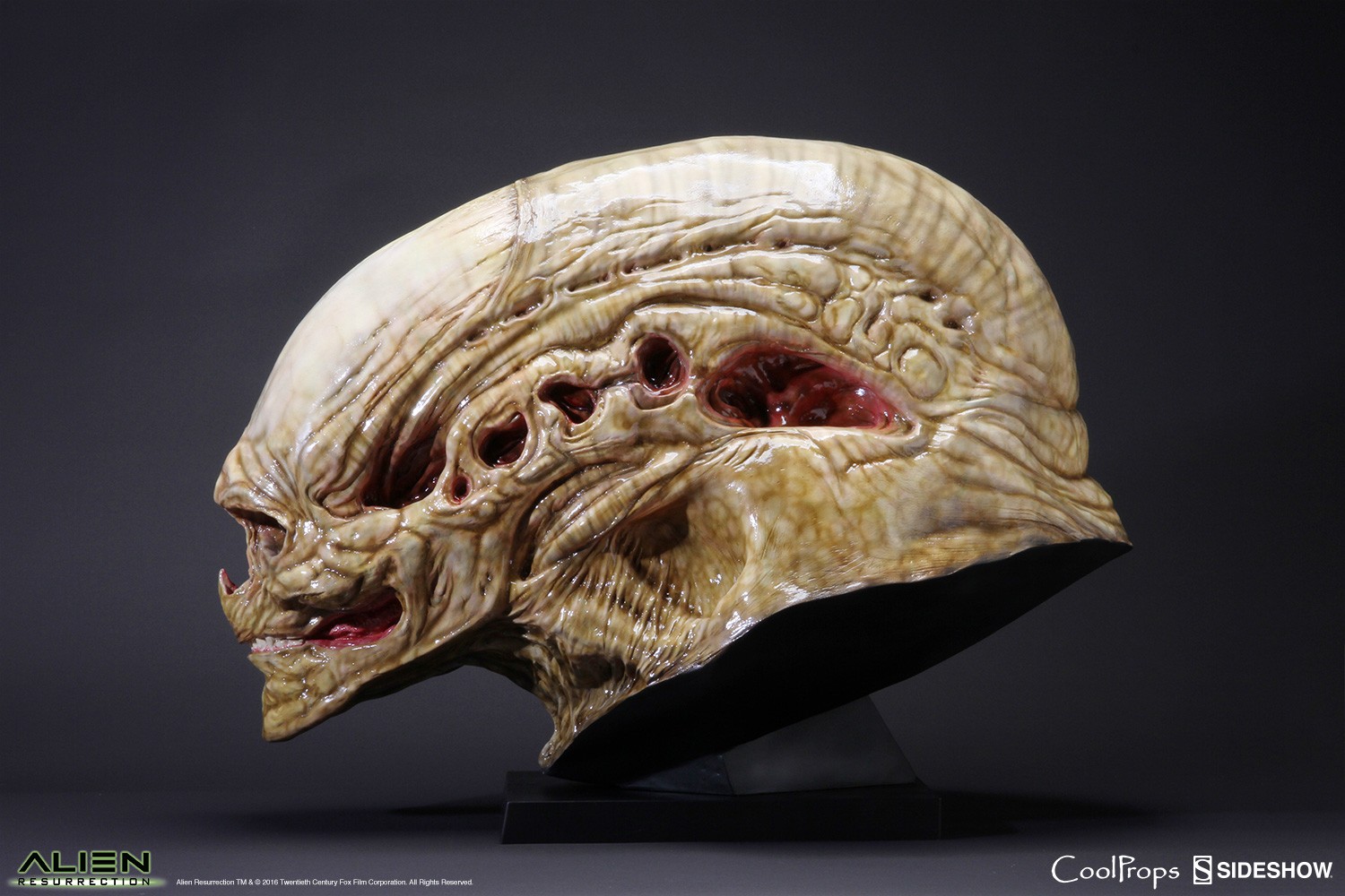 Alien Resurrection Alien Newborn Life-Size Head Prop Replica  (Prototype Shown) View 1