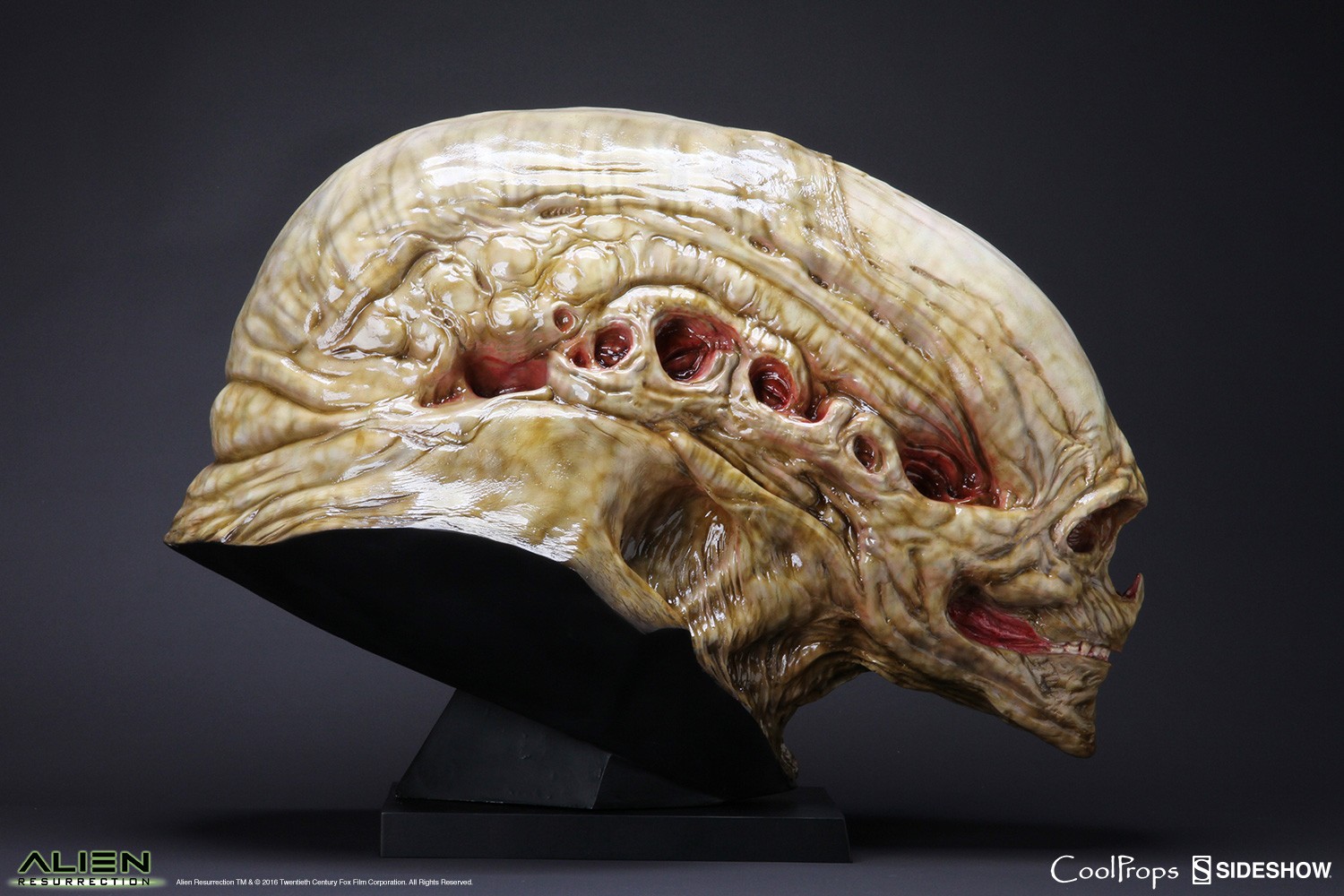 coolprops エイリアン ライフサイズ ビッグチャップ sideshow SIDESHOW COLLECTIBLES ALIEN WARRIOR LIFE SIZE Head 1:1 BUST