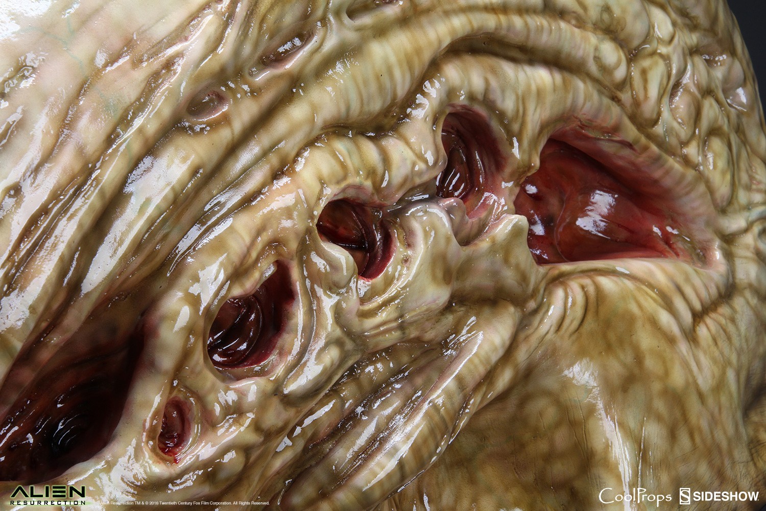 Alien Resurrection Alien Newborn Life-Size Head Prop Replica  (Prototype Shown) View 8