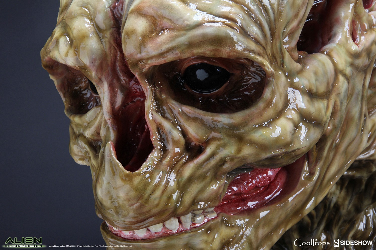 Alien Resurrection Alien Newborn Life-Size Head Prop Replica  (Prototype Shown) View 9