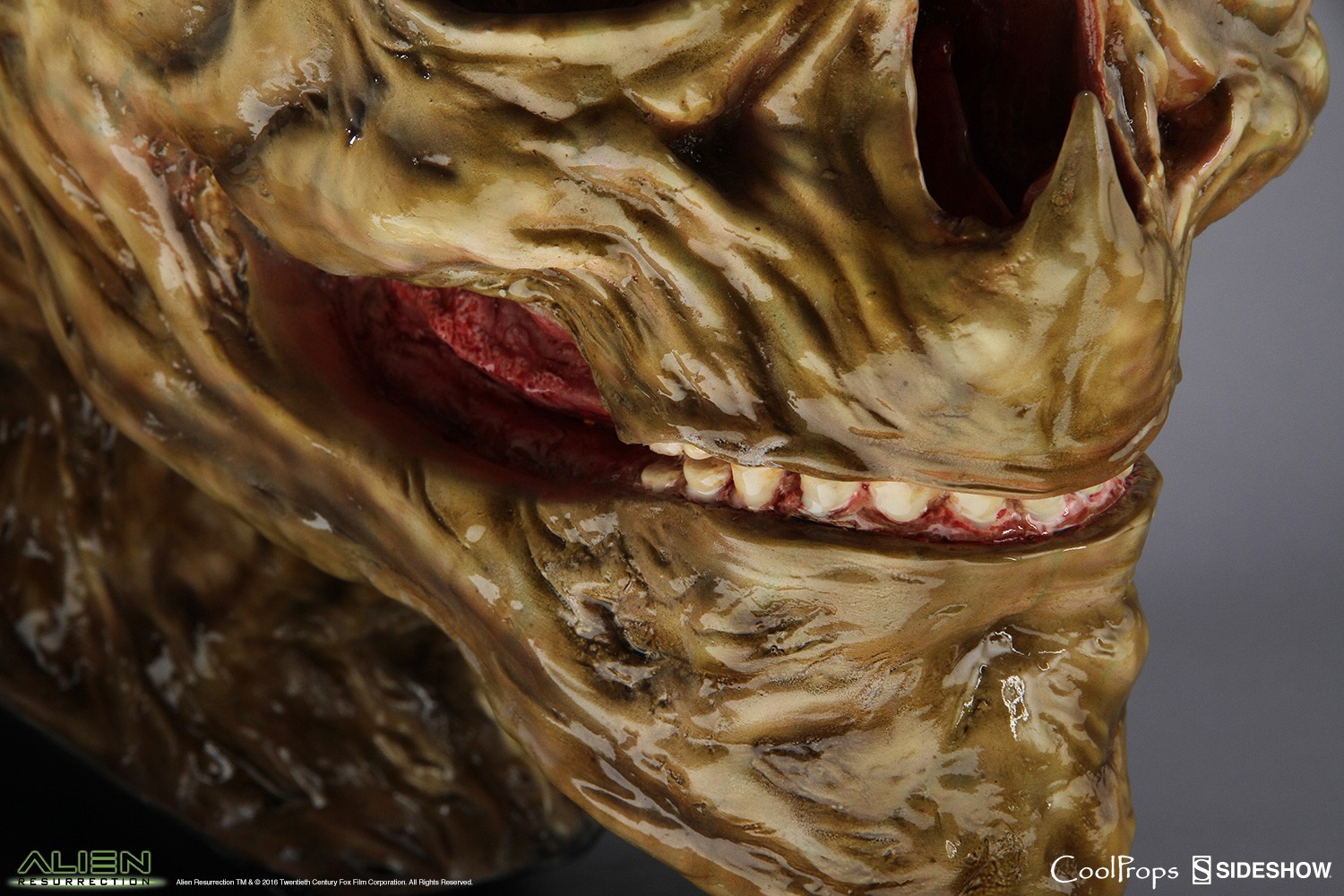 Alien Resurrection Alien Newborn Life-Size Head Prop Replica  (Prototype Shown) View 12