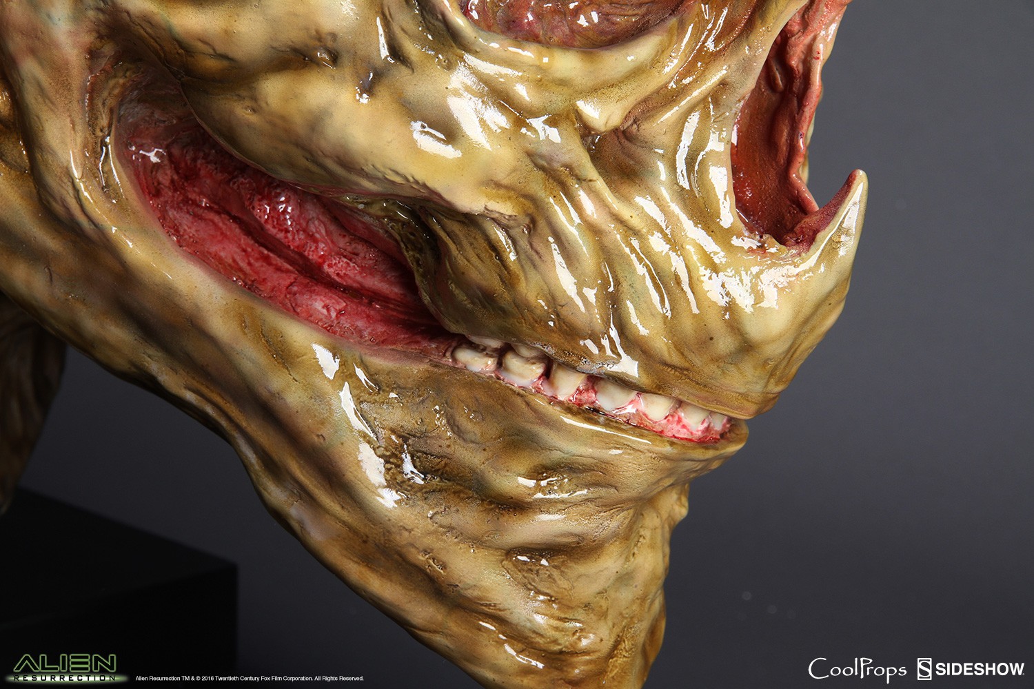 Alien Resurrection Alien Newborn Life-Size Head Prop Replica  (Prototype Shown) View 13