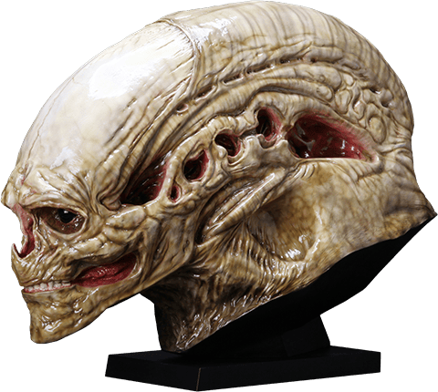 Alien Resurrection Alien Newborn Life-Size Head Prop Replica  (Prototype Shown) View 14