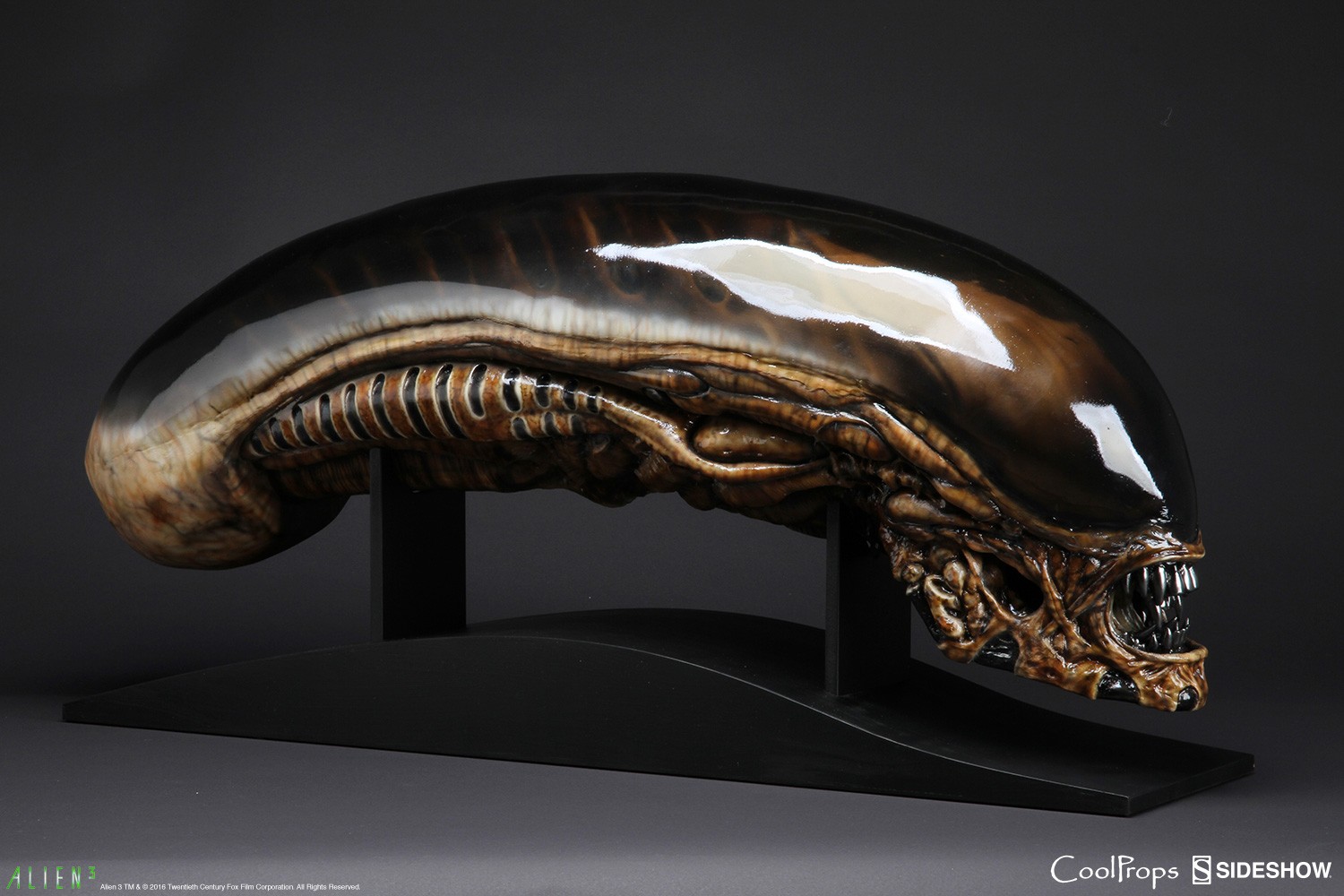 Alien 3 Dog Alien Life-Size Head Prop Replica  (Prototype Shown) View 3