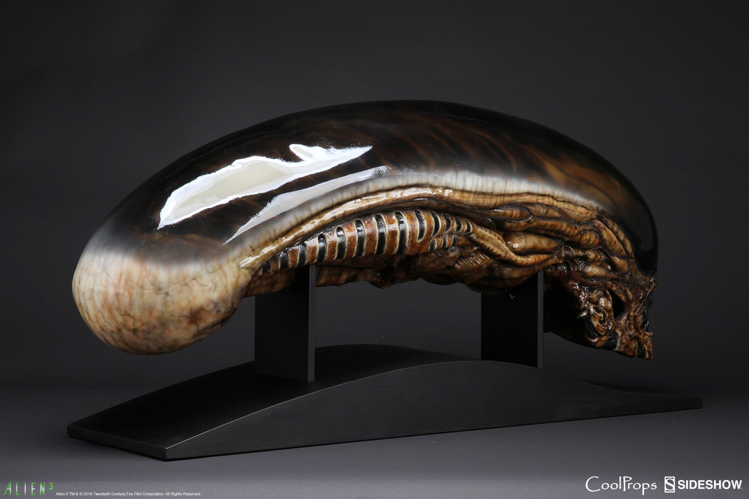 Alien 3 Dog Alien Life-Size Head Prop Replica by CoolProps