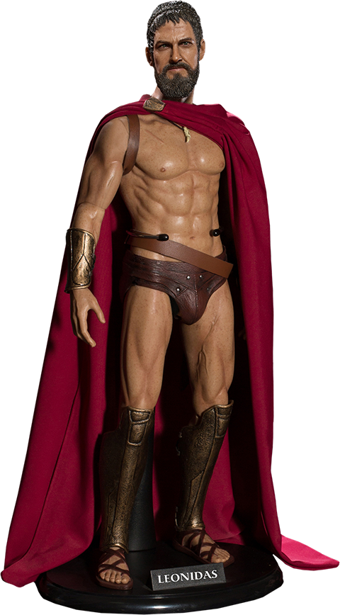 Star ace sales leonidas