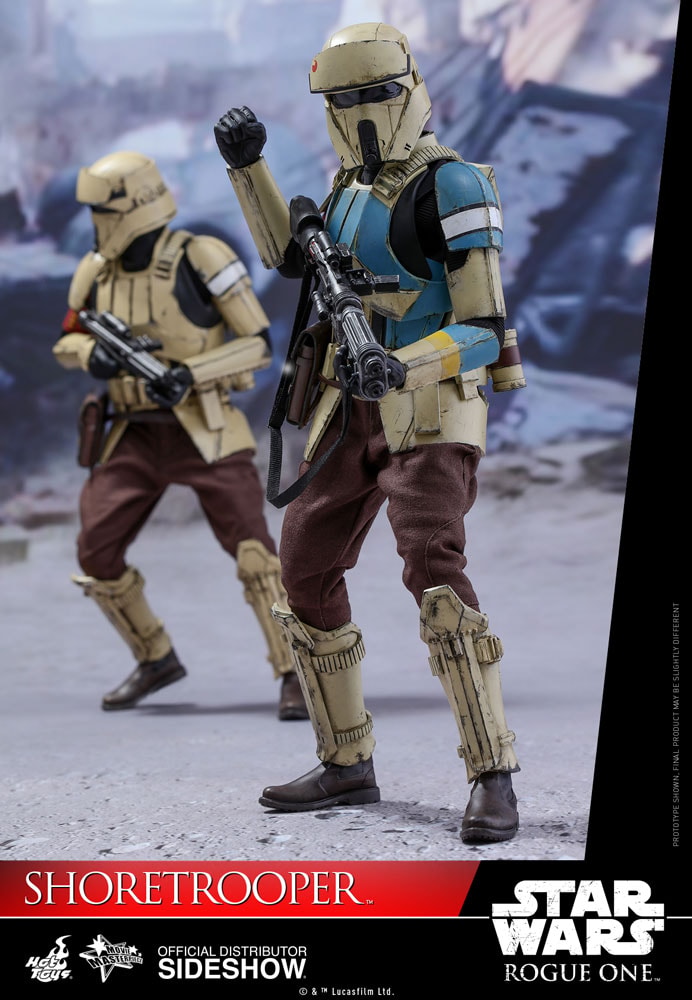 Star Wars Shoretrooper Sixth Scale Figure by Hot Toys | Sideshow