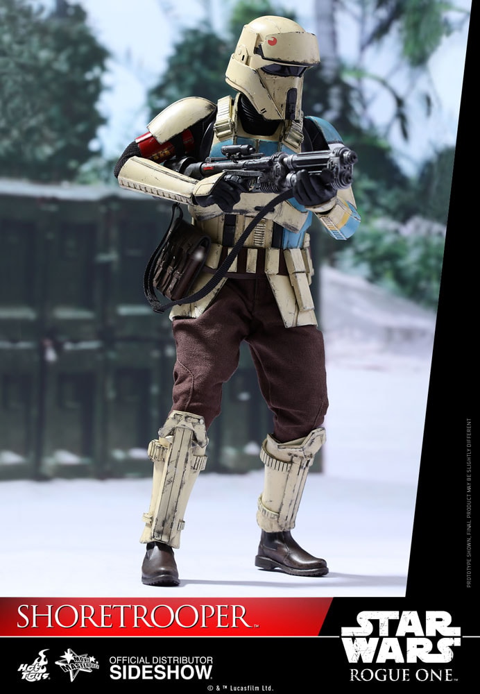 Star Wars Shoretrooper Sixth Scale Figure by Hot Toys | Sideshow