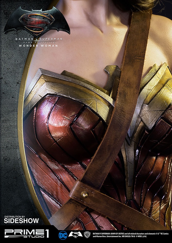 Wonder Woman (Prototype Shown) View 10