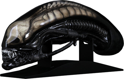 Alien Head Prop Replica by H.R. Giger | Sideshow Collectibles