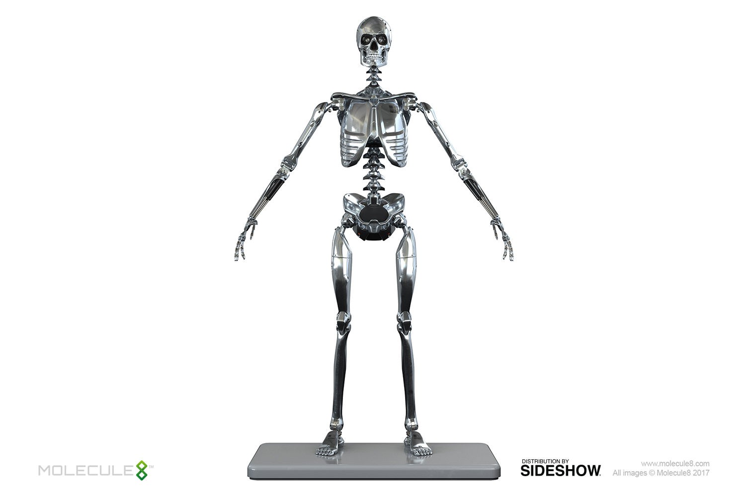Mark I Endoskeleton Sixth Scale Figure  (Prototype Shown) View 1
