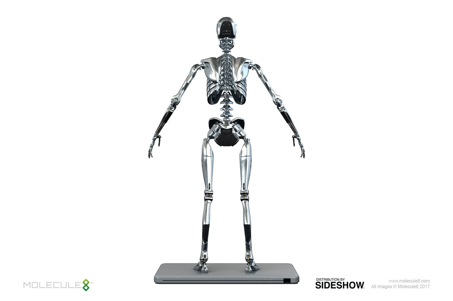 Mark I Endoskeleton Sixth Scale Figure  (Prototype Shown) View 2