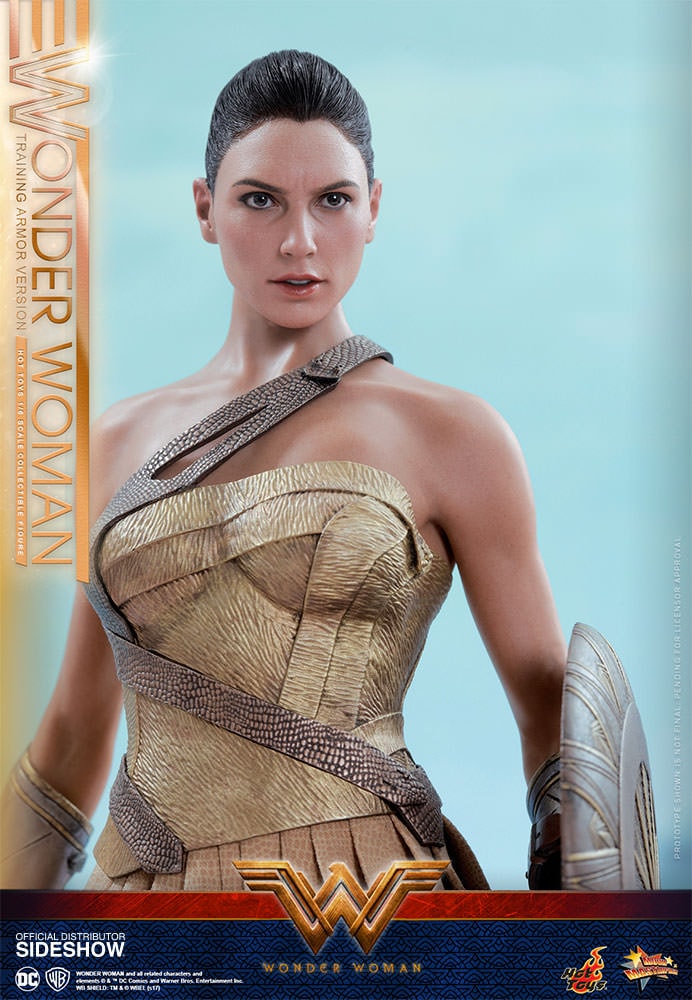 Wonder Woman Training Armor Version (Prototype Shown) View 8