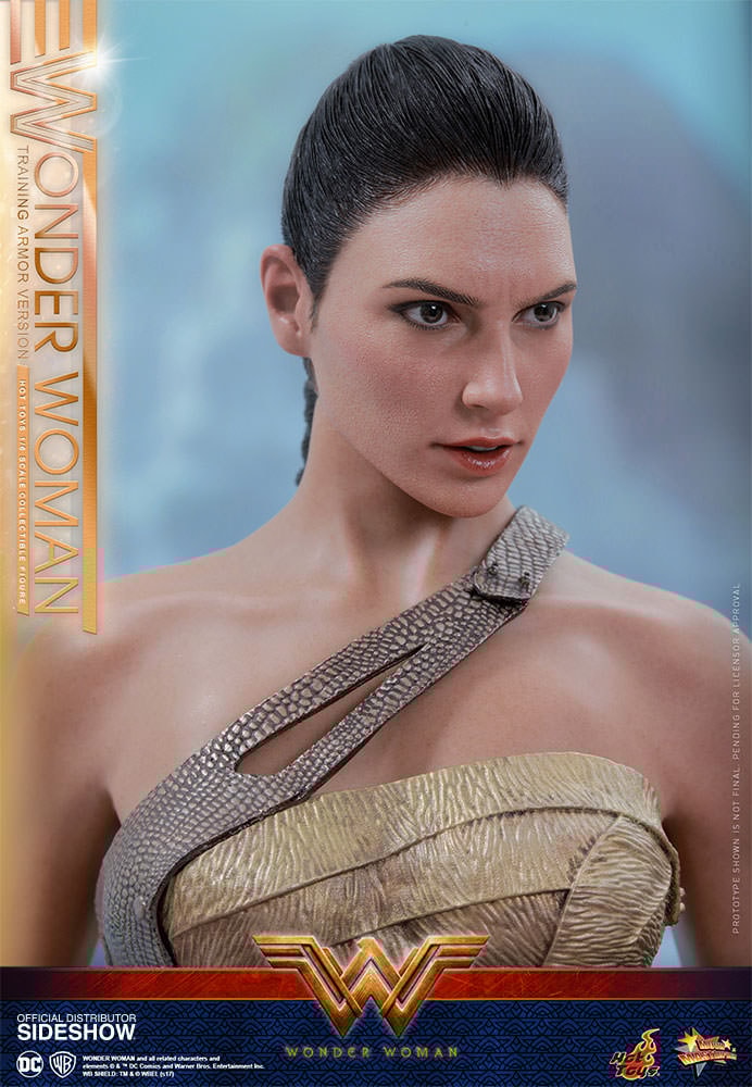 Wonder woman training armor hot toys 2025