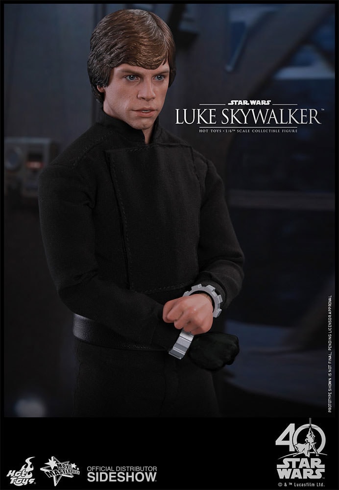 Luke Skywalker (Prototype Shown) View 13