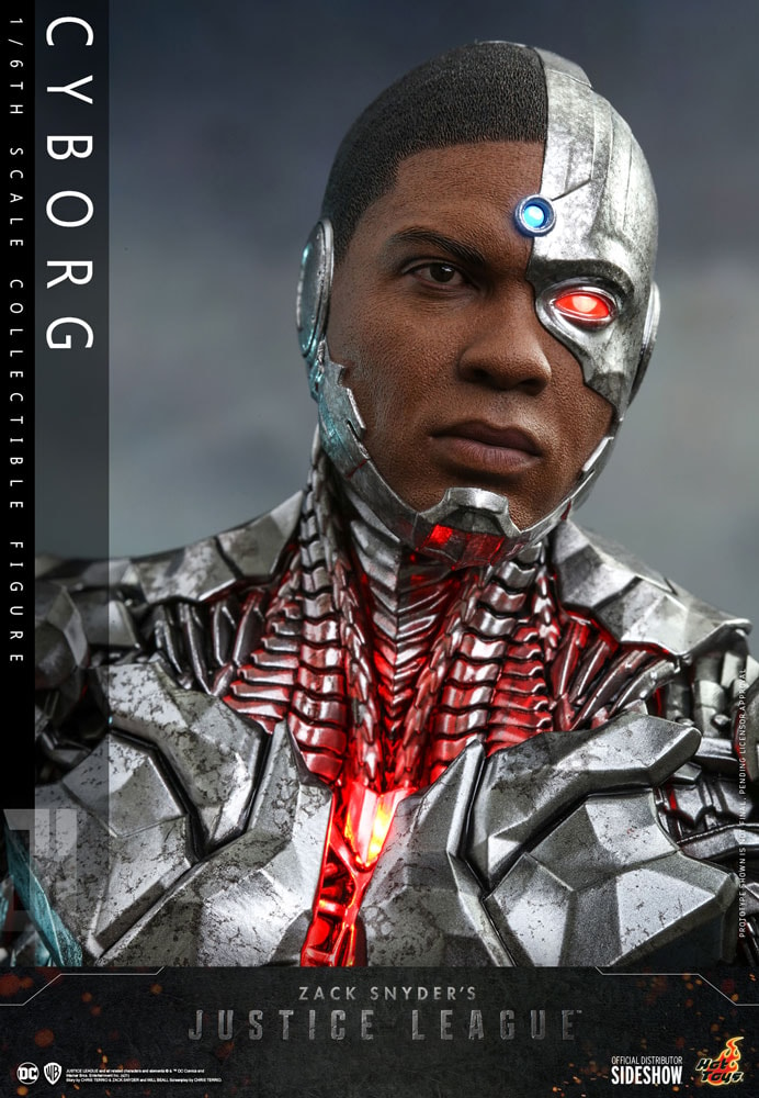 Cyborg (Special Edition)