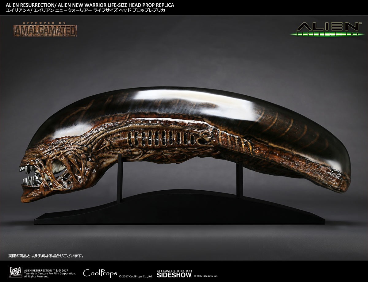 Alien Alien New Warrior Life-Size Head Prop Replica  (Prototype Shown) View 1