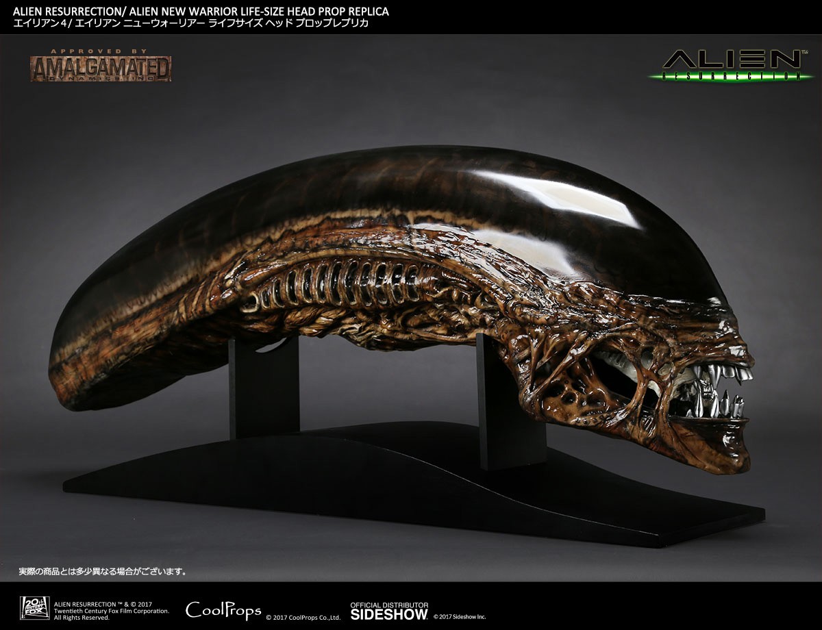 Alien Alien New Warrior Life-Size Head Prop Replica  (Prototype Shown) View 4