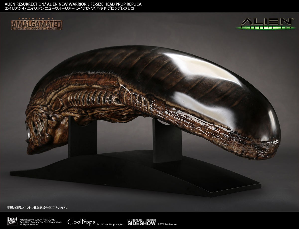Alien Alien New Warrior Life-Size Head Prop Replica  (Prototype Shown) View 8