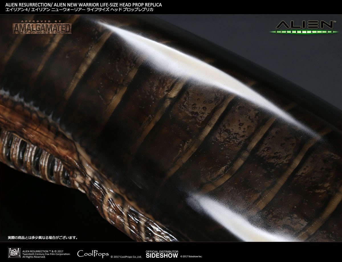Alien Alien New Warrior Life-Size Head Prop Replica  (Prototype Shown) View 9