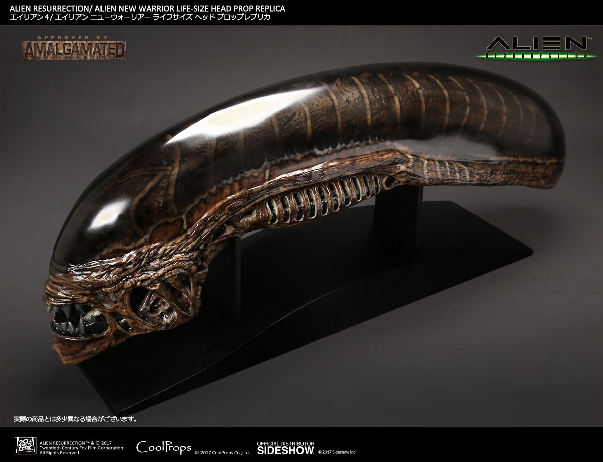Alien Alien New Warrior Life-Size Head Prop Replica  (Prototype Shown) View 12