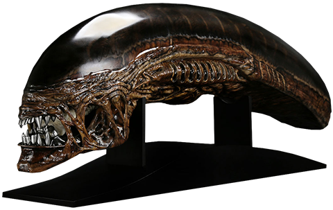 Alien Alien New Warrior Life-Size Head Prop Replica  (Prototype Shown) View 14