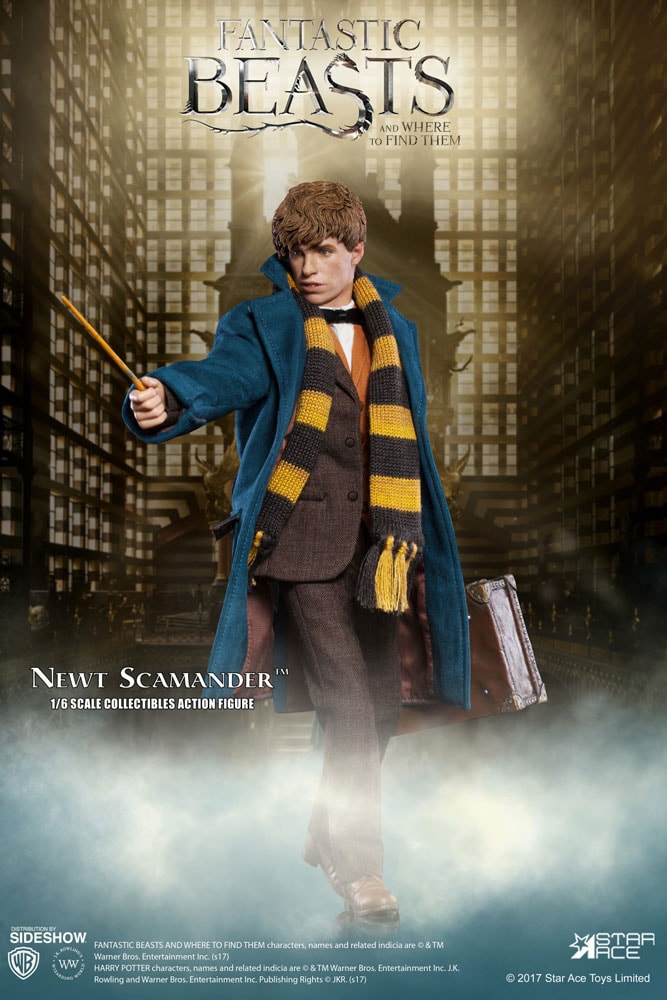 Fantastic Beasts and Where to Find Them Newt Scamander Sixth