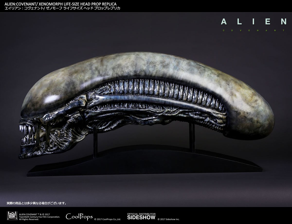 Xenomorph Life-Size Head (Prototype Shown) View 1