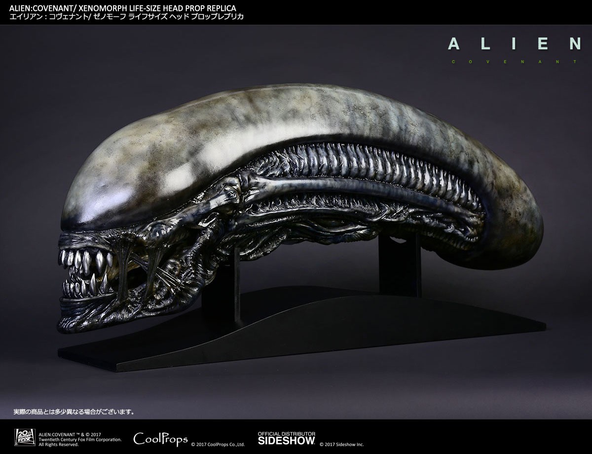 Xenomorph Life-Size Head (Prototype Shown) View 2