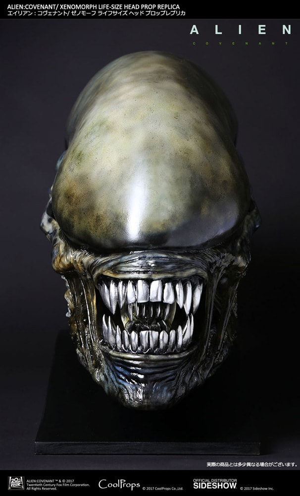 Xenomorph Life-Size Head (Prototype Shown) View 3