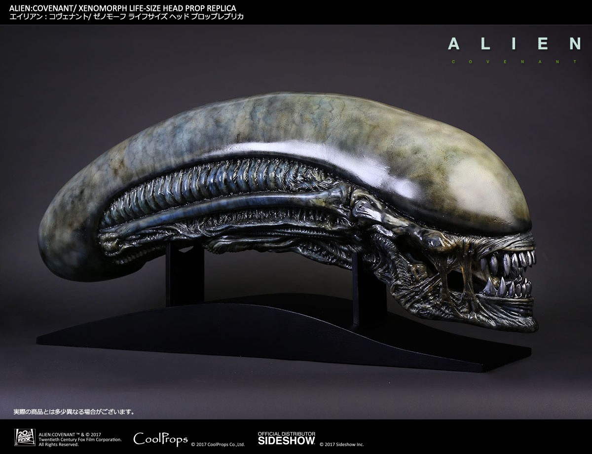 Xenomorph Life-Size Head (Prototype Shown) View 4