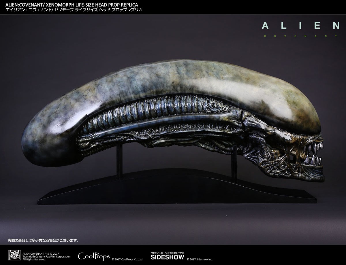 Xenomorph Life-Size Head (Prototype Shown) View 5