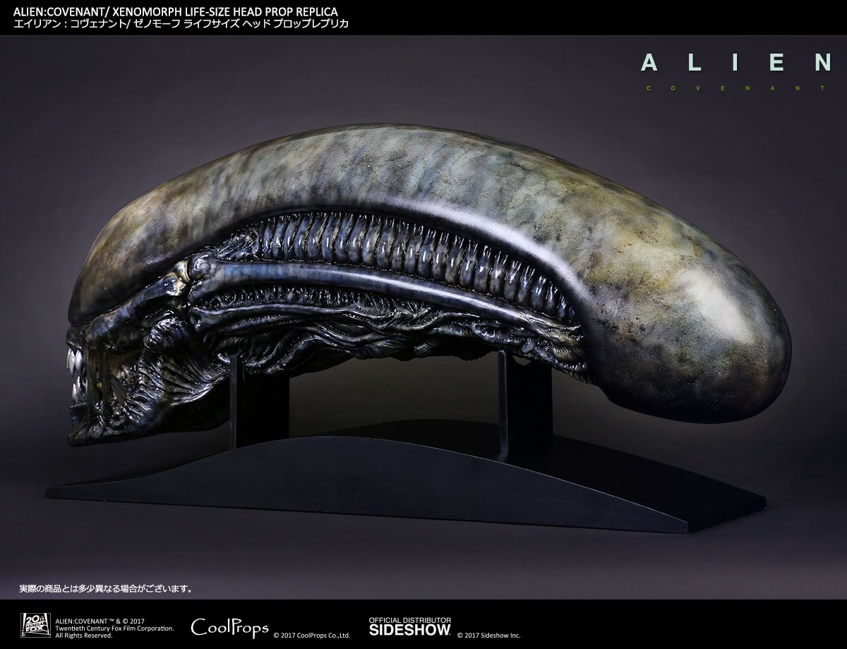 Xenomorph Life-Size Head (Prototype Shown) View 8