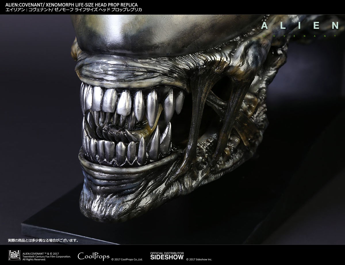Xenomorph Life-Size Head (Prototype Shown) View 9