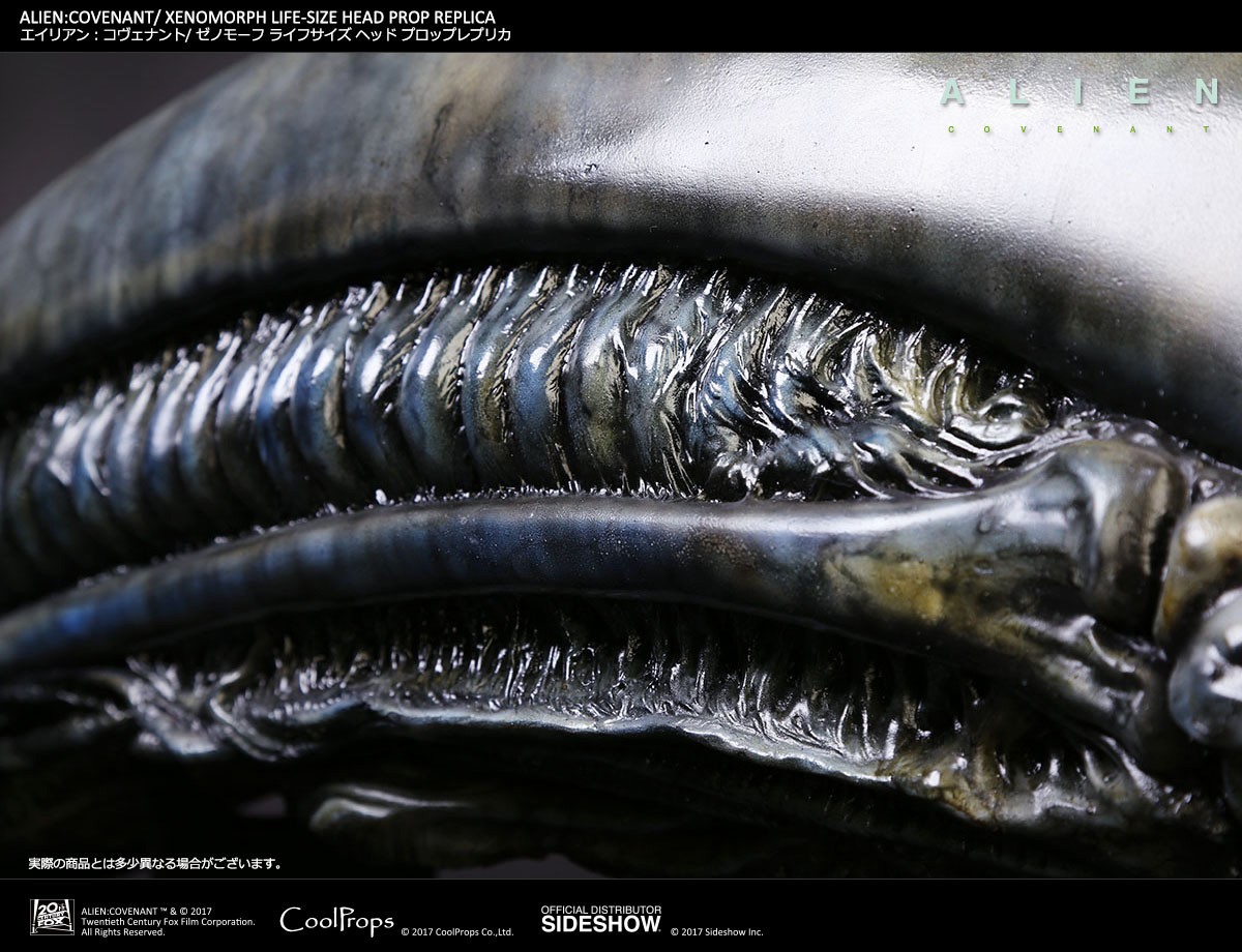 Xenomorph Life-Size Head (Prototype Shown) View 10