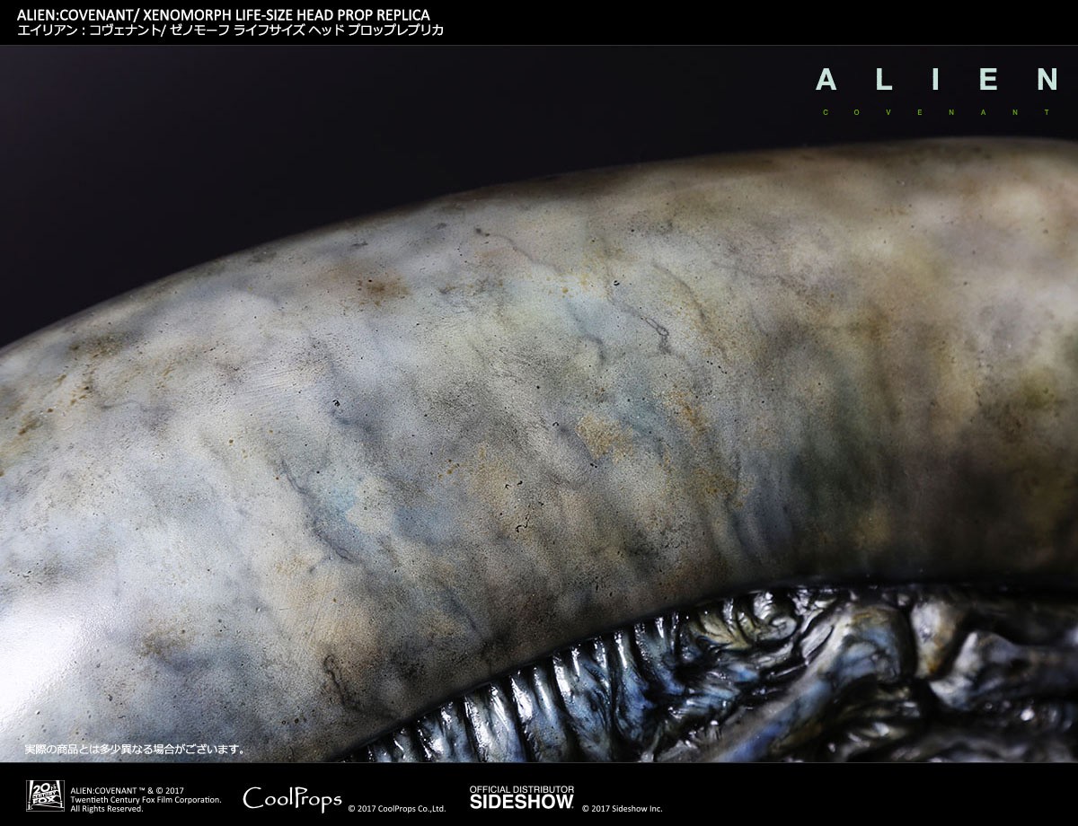Xenomorph Life-Size Head (Prototype Shown) View 11