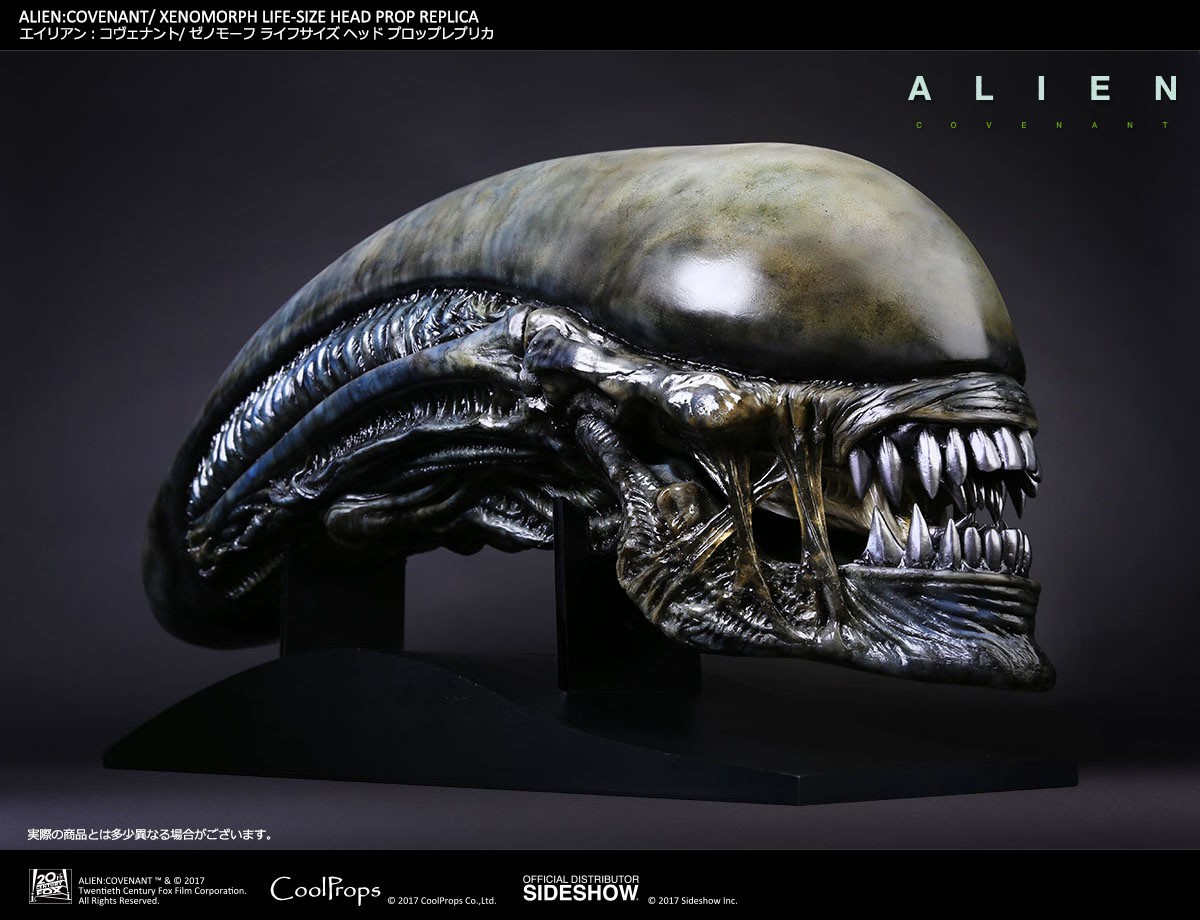 Xenomorph Life-Size Head (Prototype Shown) View 12
