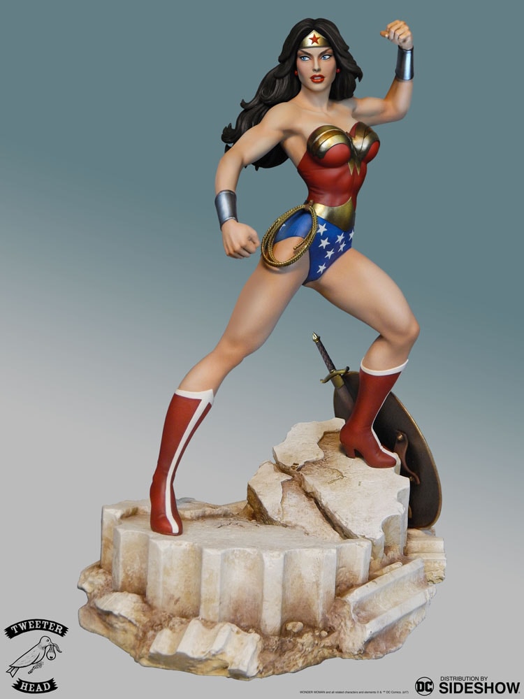 DC Comics Super Powers Wonder Woman Maquette  (Prototype Shown) View 1