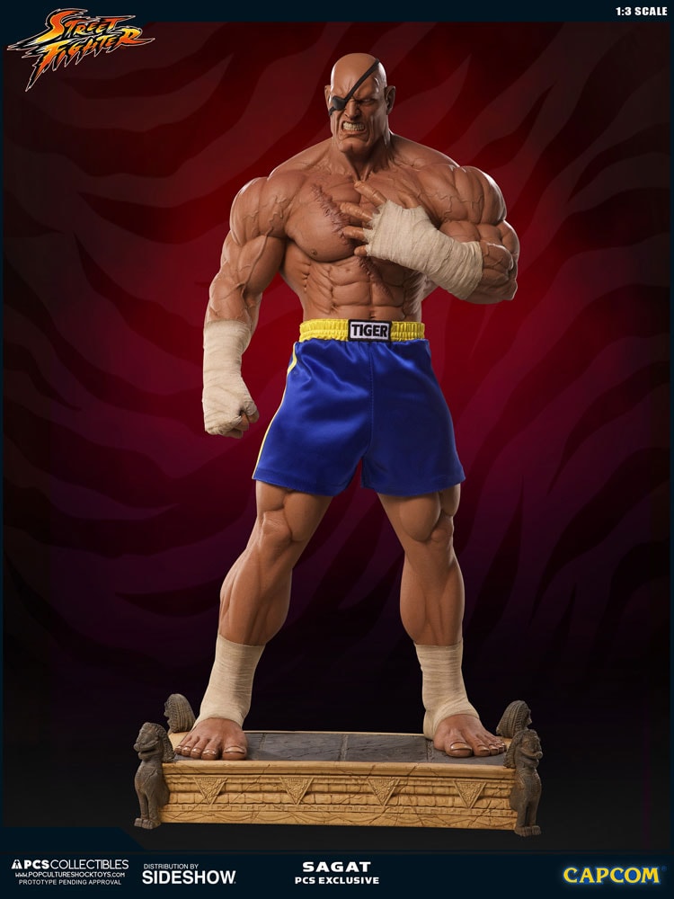 Sagat