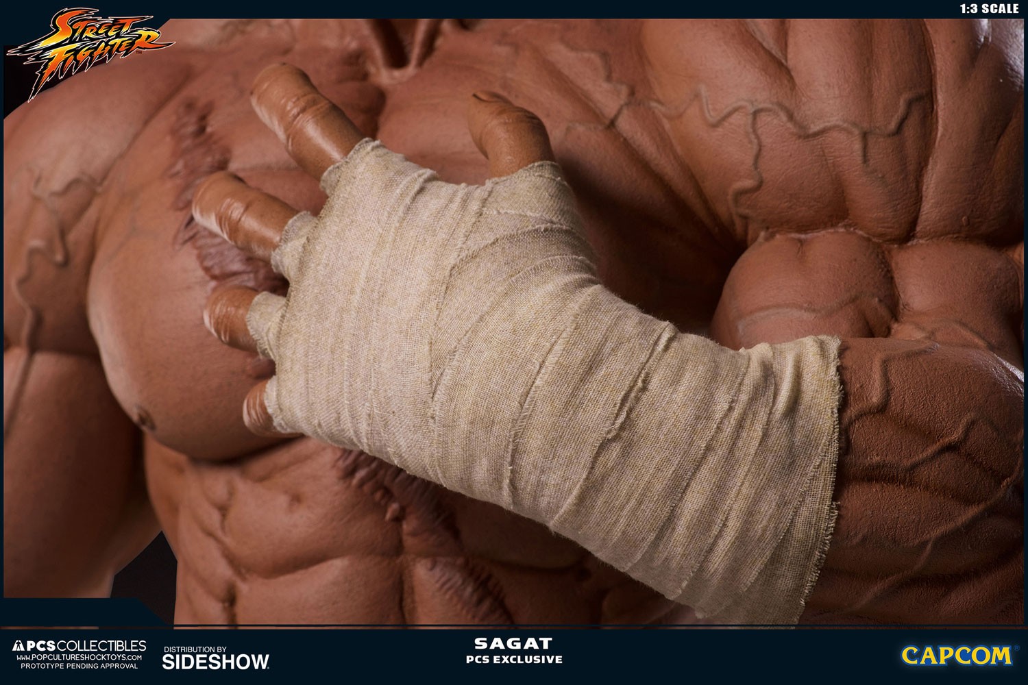 Sagat
